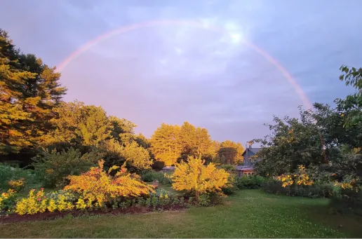 rainbow_web