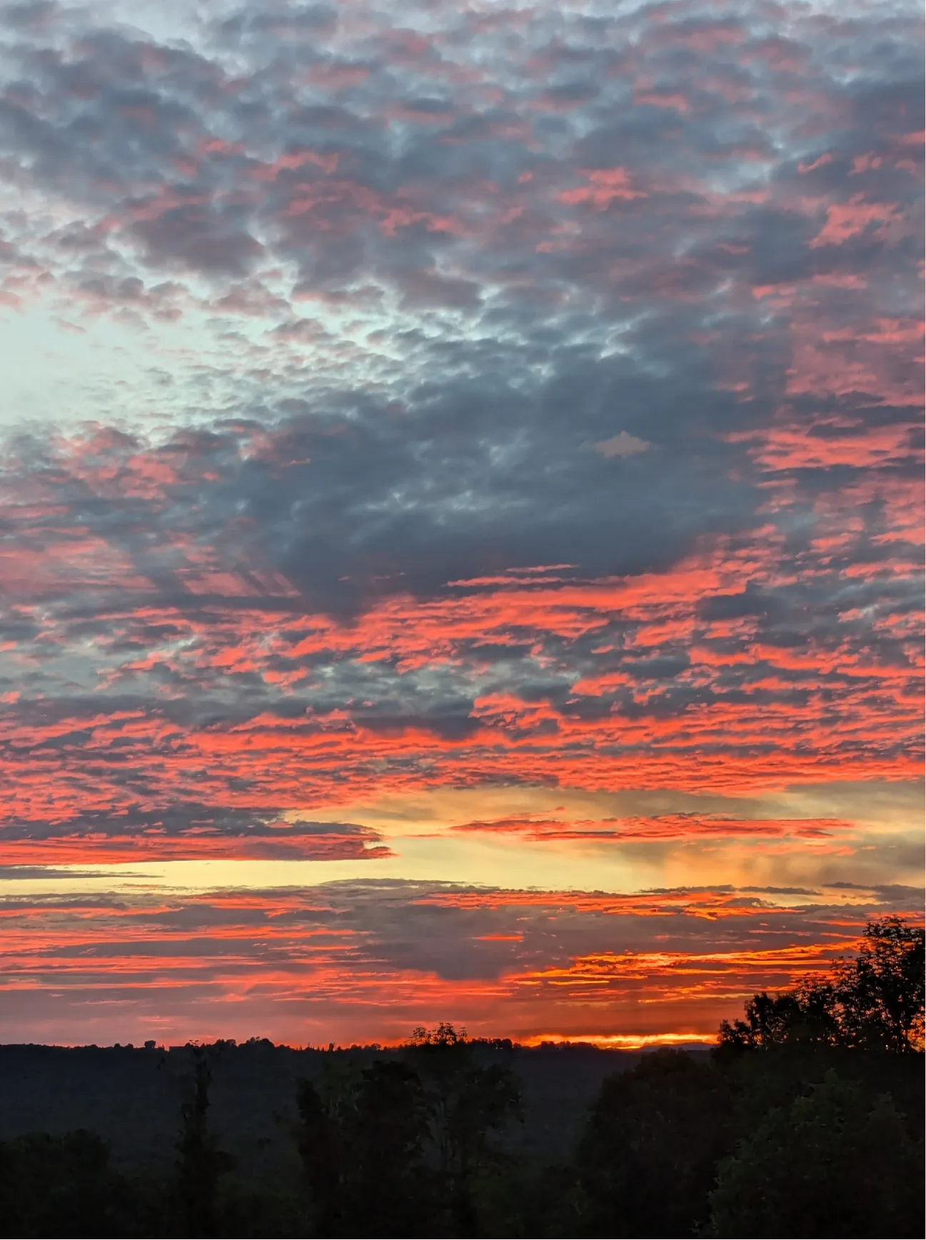 sunset_web